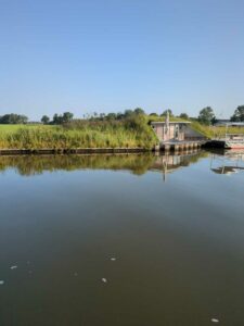 Image taken from the boat while cruising
