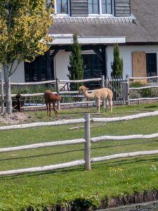Image taken from the boat while cruising