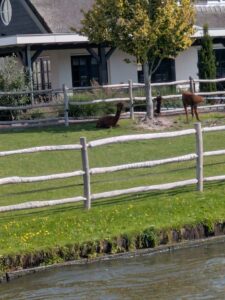 Image taken from the boat while cruising