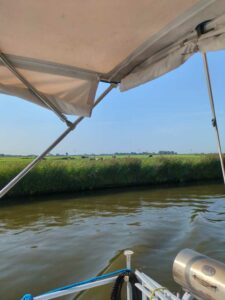 Image taken from the boat while cruising