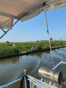 Image taken from the boat while cruising