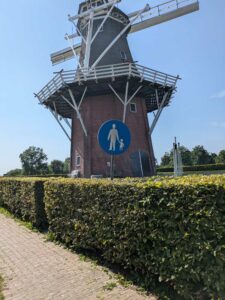 Image from Dokkum, Aug 2025