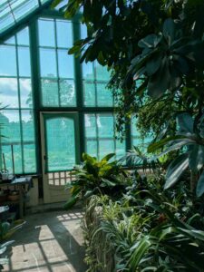 image from the Rams Woerthe Museumhuis in Steenwijk, Aug 2025