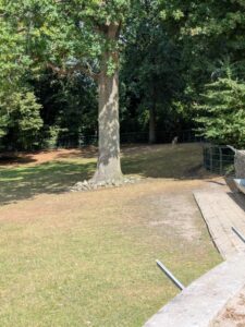 image from the Rams Woerthe Museumhuis in Steenwijk, Aug 2025