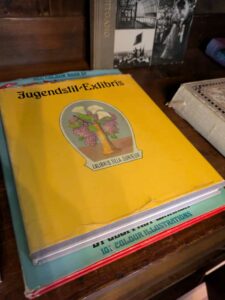 image from the Rams Woerthe Museumhuis in Steenwijk, Aug 2025