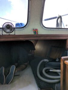 random onboard pics from 2025