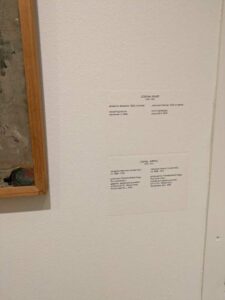 Image from the Stedelijk Museum in Amsterdam, September 2025